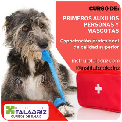 primeros auxilos para personas y mascotas